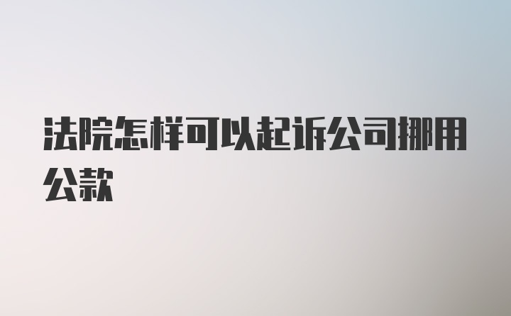 法院怎样可以起诉公司挪用公款