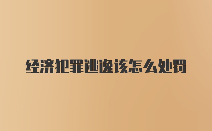 经济犯罪逃逸该怎么处罚