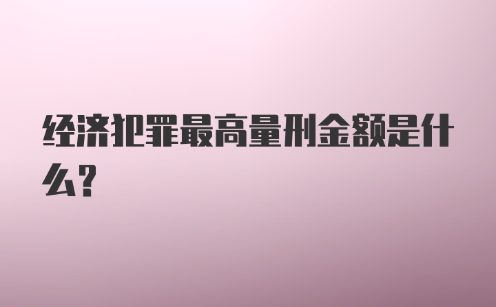 经济犯罪最高量刑金额是什么？