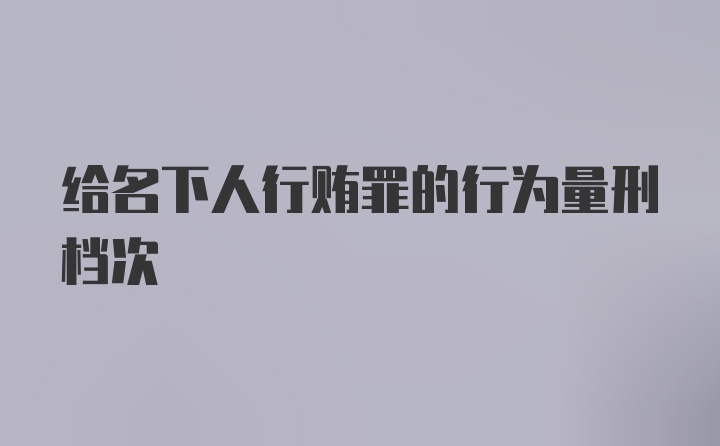 给名下人行贿罪的行为量刑档次