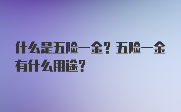 什么是五险一金？五险一金有什么用途？