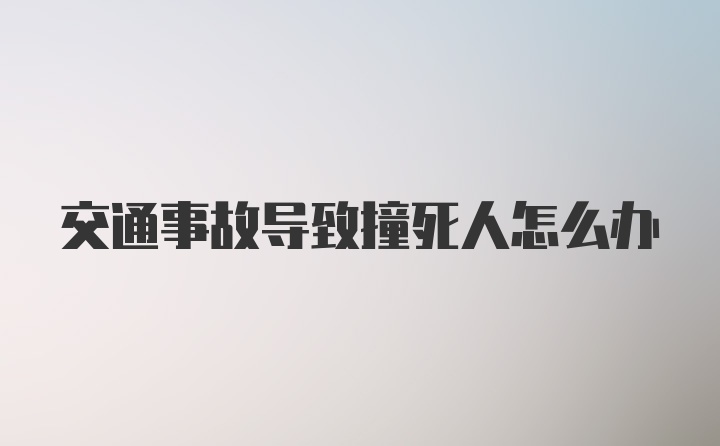 交通事故导致撞死人怎么办