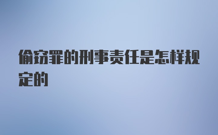 偷窃罪的刑事责任是怎样规定的