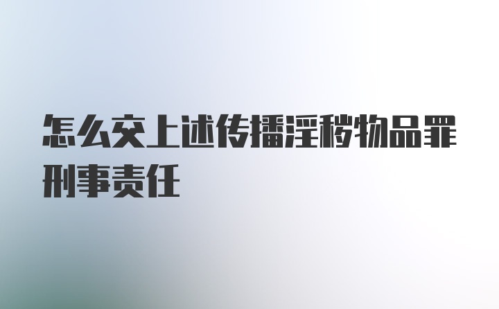 怎么交上述传播淫秽物品罪刑事责任