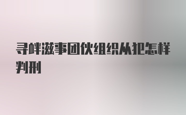 寻衅滋事团伙组织从犯怎样判刑