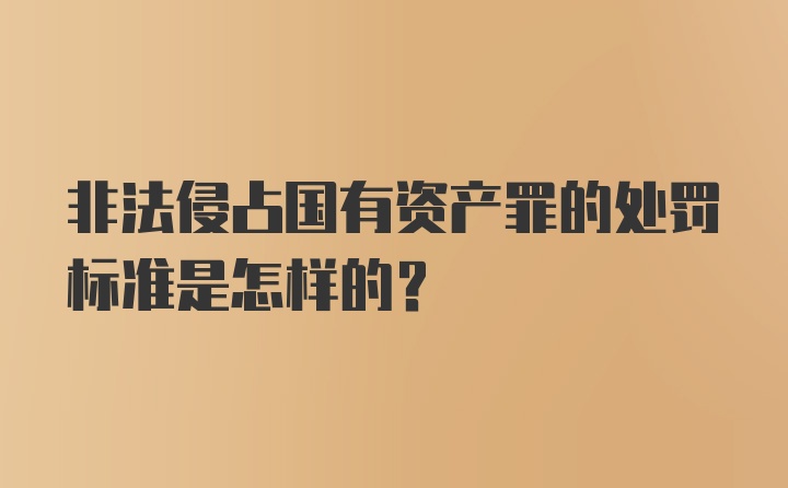 非法侵占国有资产罪的处罚标准是怎样的？