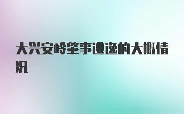 大兴安岭肇事逃逸的大概情况