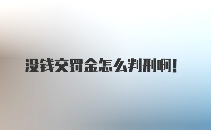 没钱交罚金怎么判刑啊！