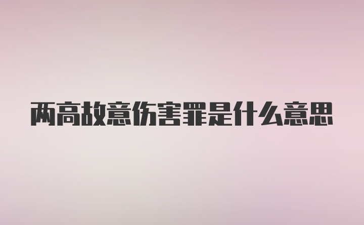 两高故意伤害罪是什么意思