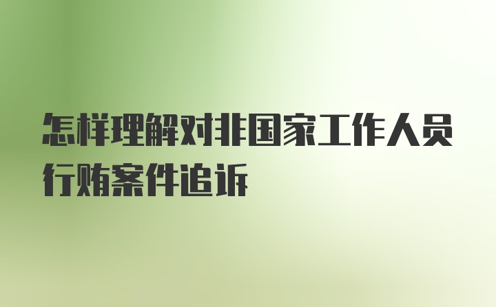 怎样理解对非国家工作人员行贿案件追诉