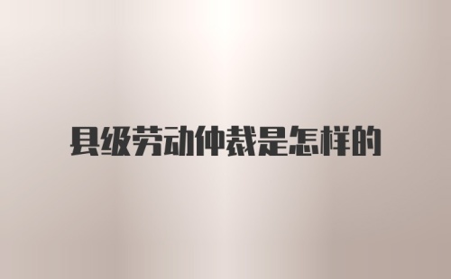 县级劳动仲裁是怎样的