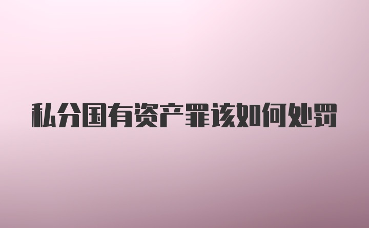 私分国有资产罪该如何处罚