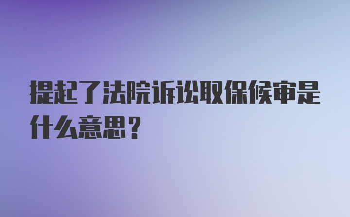 提起了法院诉讼取保候审是什么意思？