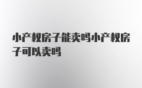 小产权房子能卖吗小产权房子可以卖吗