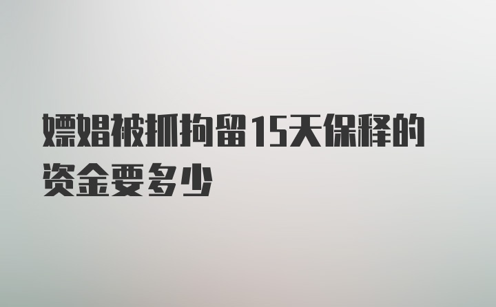 嫖娼被抓拘留15天保释的资金要多少