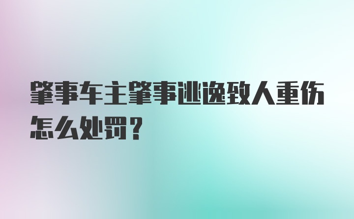 肇事车主肇事逃逸致人重伤怎么处罚？