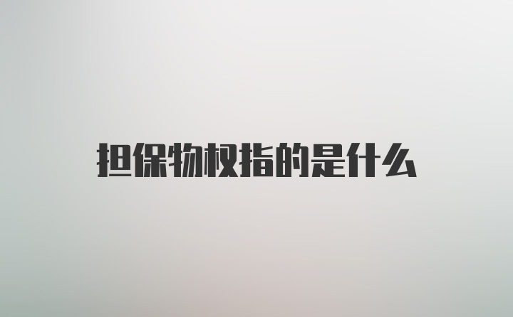 担保物权指的是什么