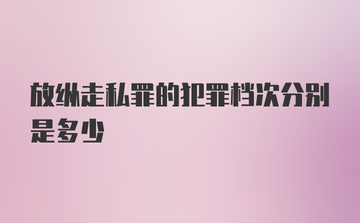 放纵走私罪的犯罪档次分别是多少