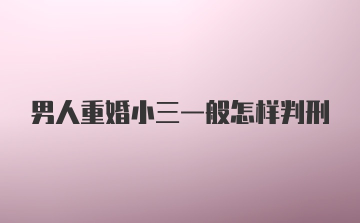 男人重婚小三一般怎样判刑