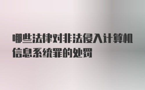 哪些法律对非法侵入计算机信息系统罪的处罚