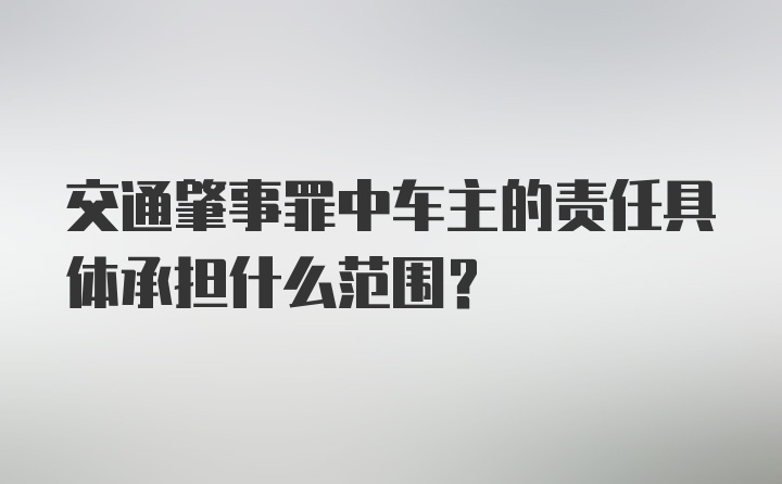 交通肇事罪中车主的责任具体承担什么范围？