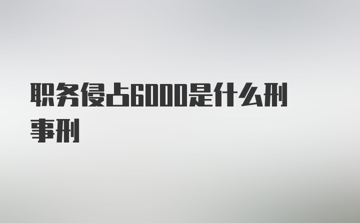 职务侵占6000是什么刑事刑