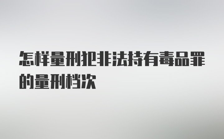 怎样量刑犯非法持有毒品罪的量刑档次