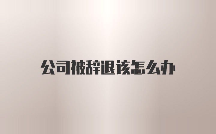 公司被辞退该怎么办