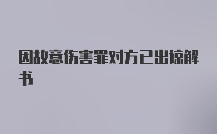 因故意伤害罪对方已出谅解书