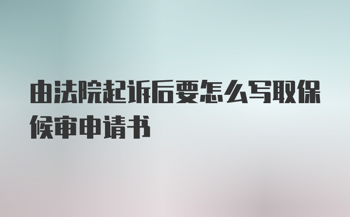 由法院起诉后要怎么写取保候审申请书