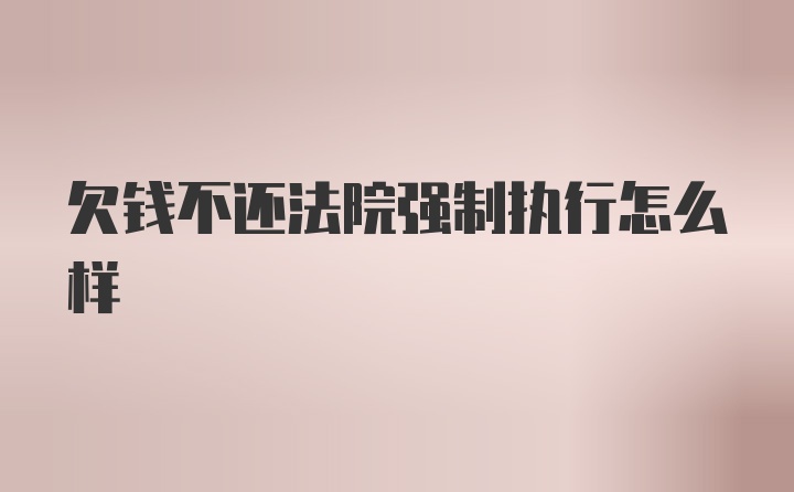 欠钱不还法院强制执行怎么样