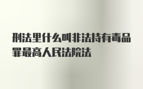 刑法里什么叫非法持有毒品罪最高人民法院法