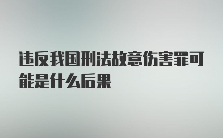 违反我国刑法故意伤害罪可能是什么后果