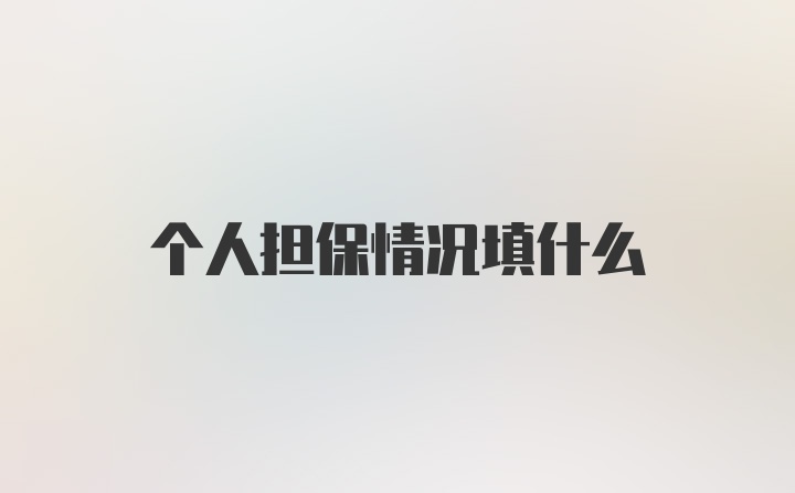 个人担保情况填什么