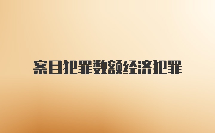 案目犯罪数额经济犯罪