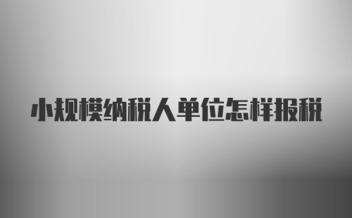 小规模纳税人单位怎样报税