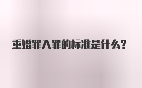 重婚罪入罪的标准是什么？