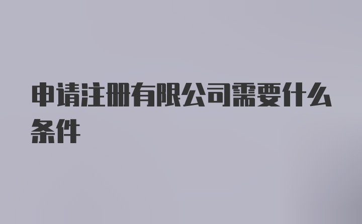 申请注册有限公司需要什么条件