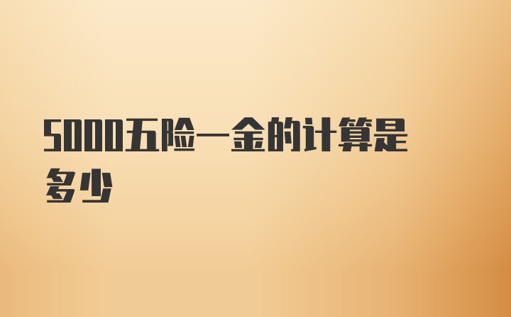 5000五险一金的计算是多少