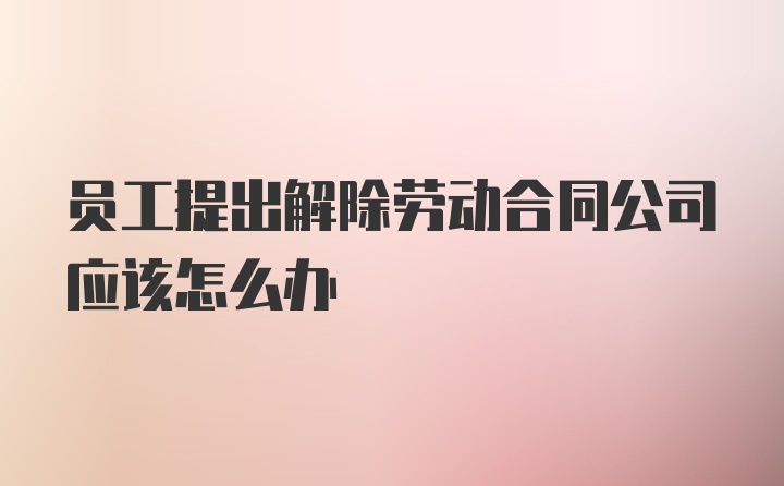 员工提出解除劳动合同公司应该怎么办