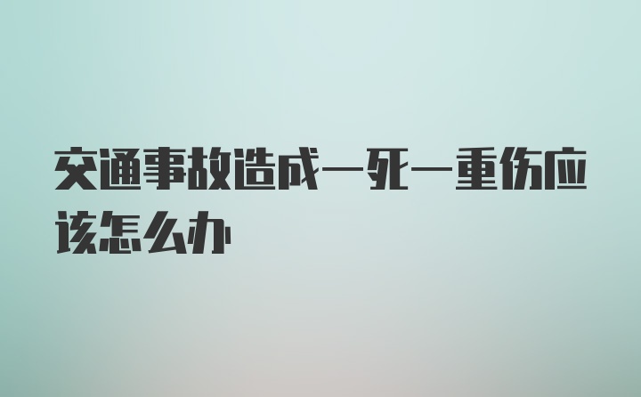 交通事故造成一死一重伤应该怎么办