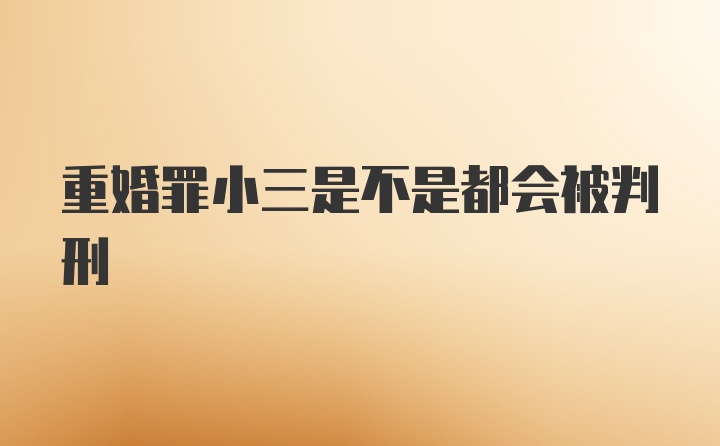 重婚罪小三是不是都会被判刑