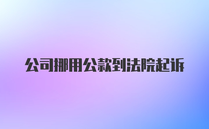 公司挪用公款到法院起诉