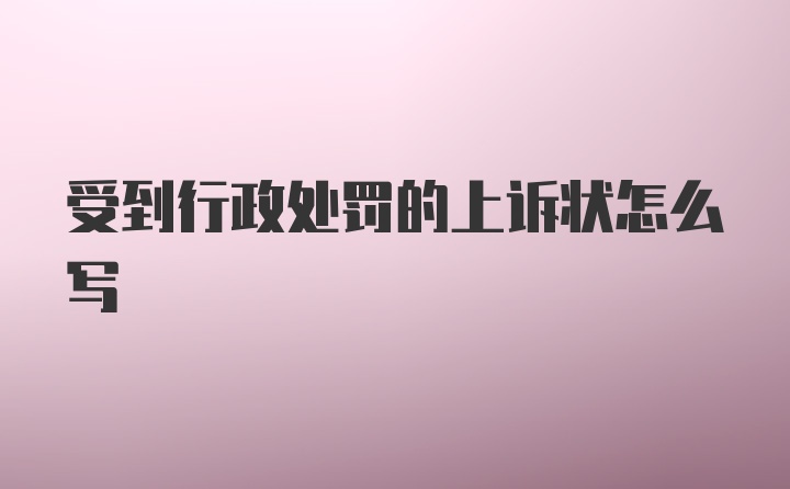 受到行政处罚的上诉状怎么写