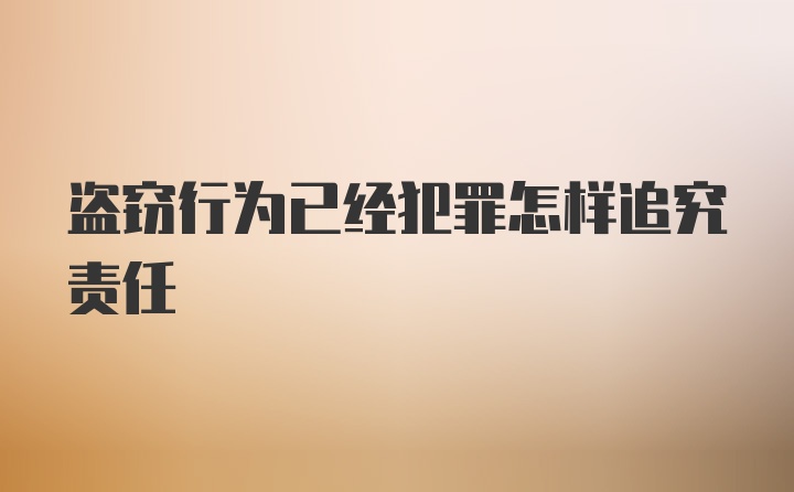 盗窃行为已经犯罪怎样追究责任