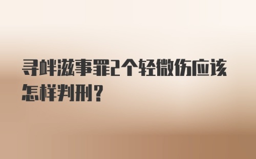 寻衅滋事罪2个轻微伤应该怎样判刑？