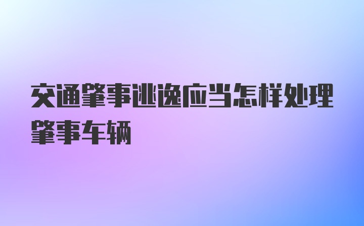 交通肇事逃逸应当怎样处理肇事车辆