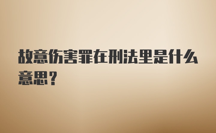 故意伤害罪在刑法里是什么意思？