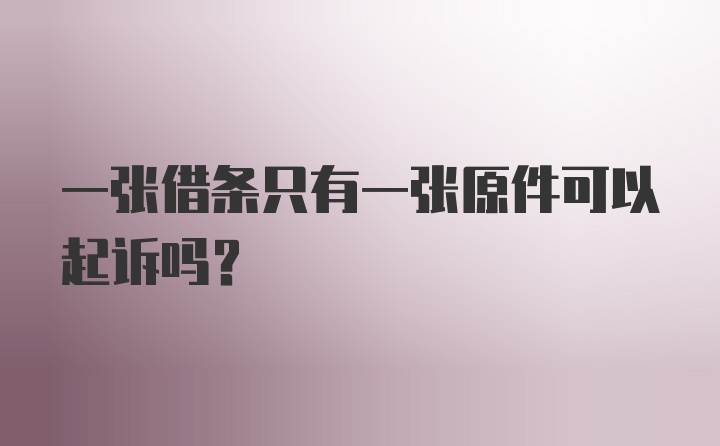 一张借条只有一张原件可以起诉吗？