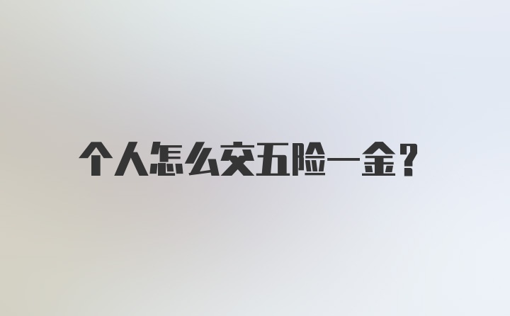 个人怎么交五险一金？